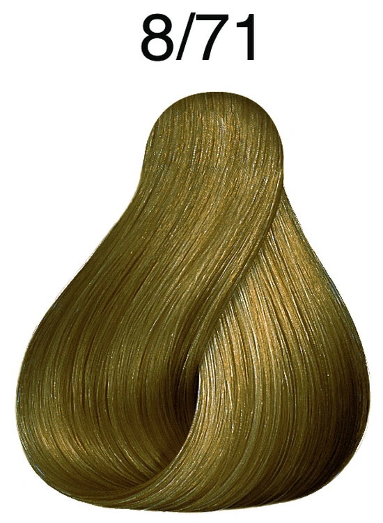 Fő kép